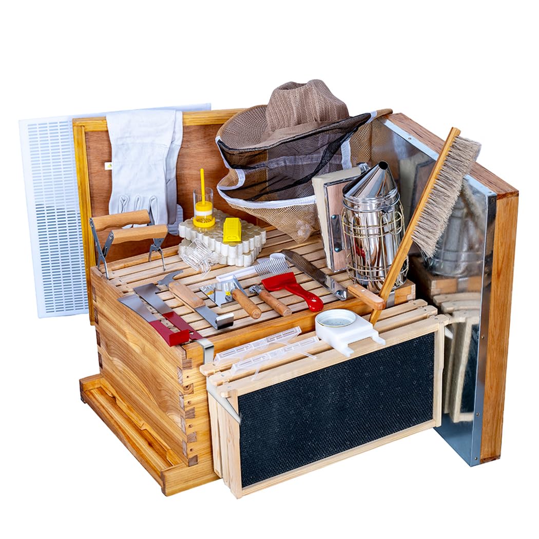Beehive Frame Wax - Kit de 8 cuadros para colmena