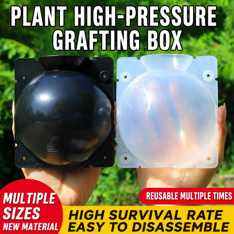 Plant Growth Regulator - Kit de propagación de plantas de