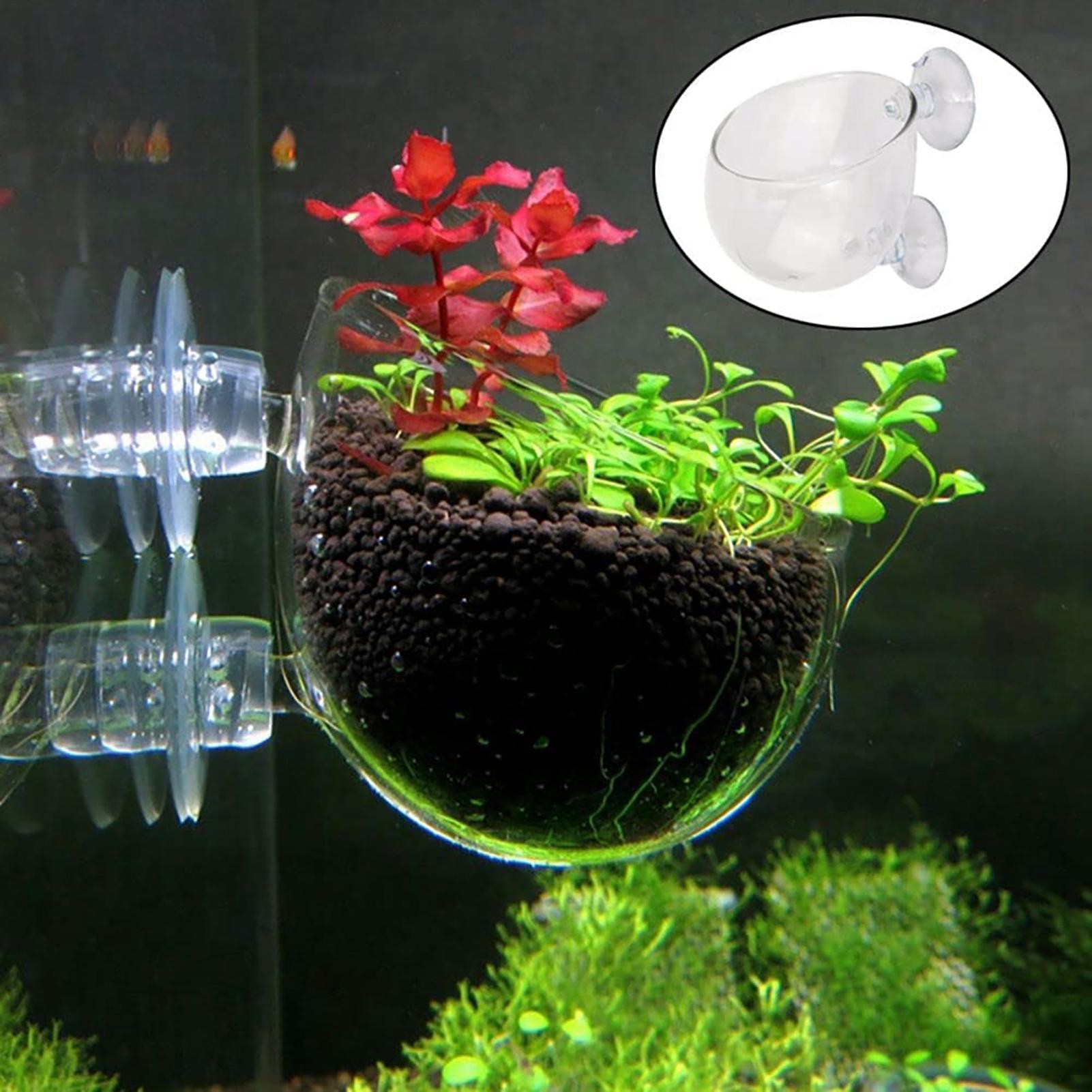 Plant Growth Regulator - Maceta para plantas acuáticas, macetero de