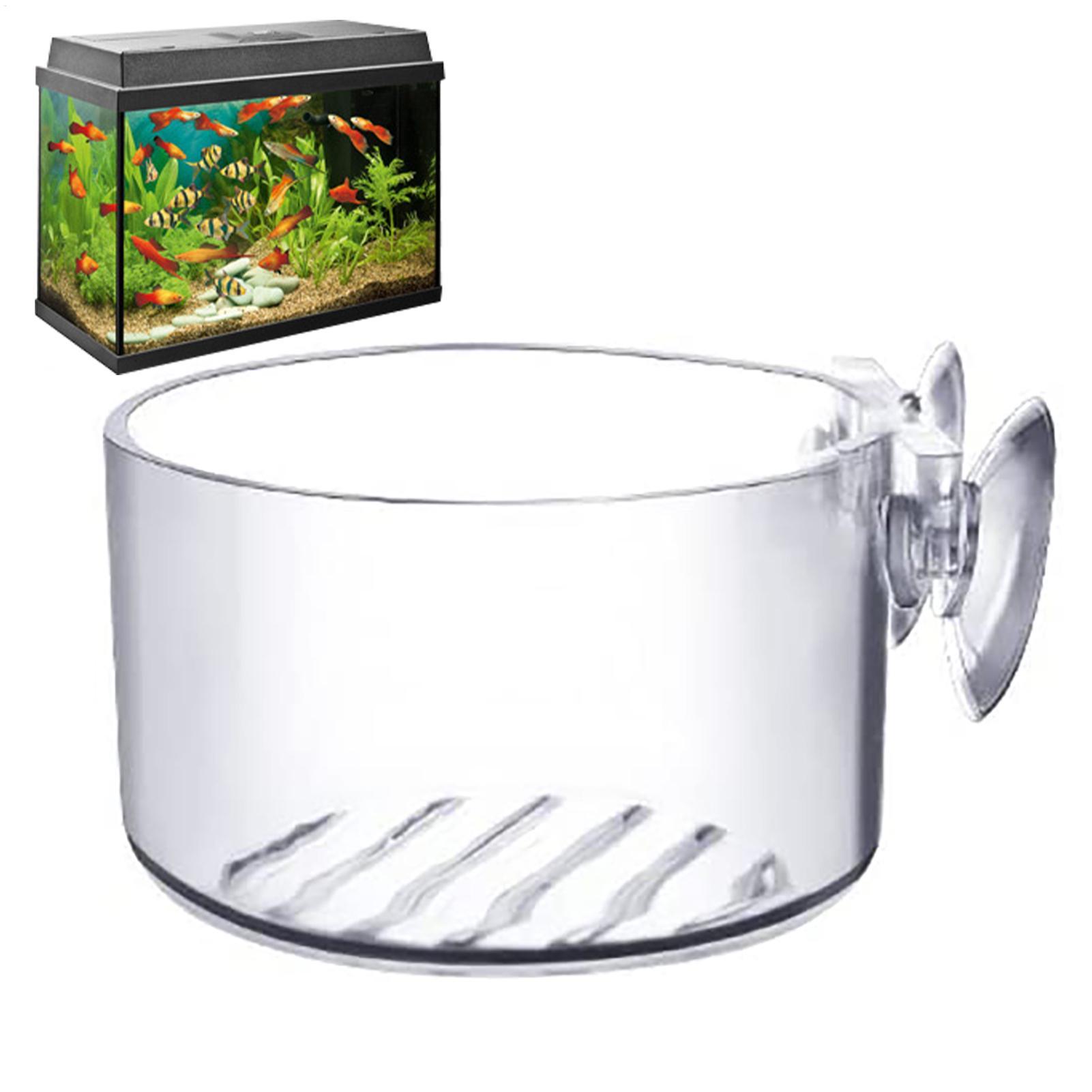 Plant Growth Regulator - Maceta Acrílica para Plantas Acuáticas con
