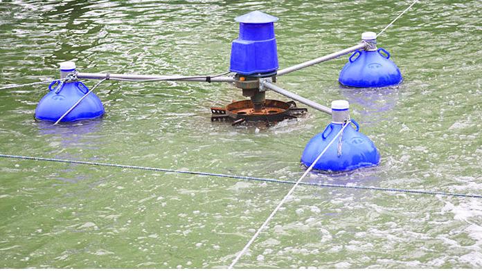 Aireador para Estanques de Acu - Fish Pond Aerator reseña y precio