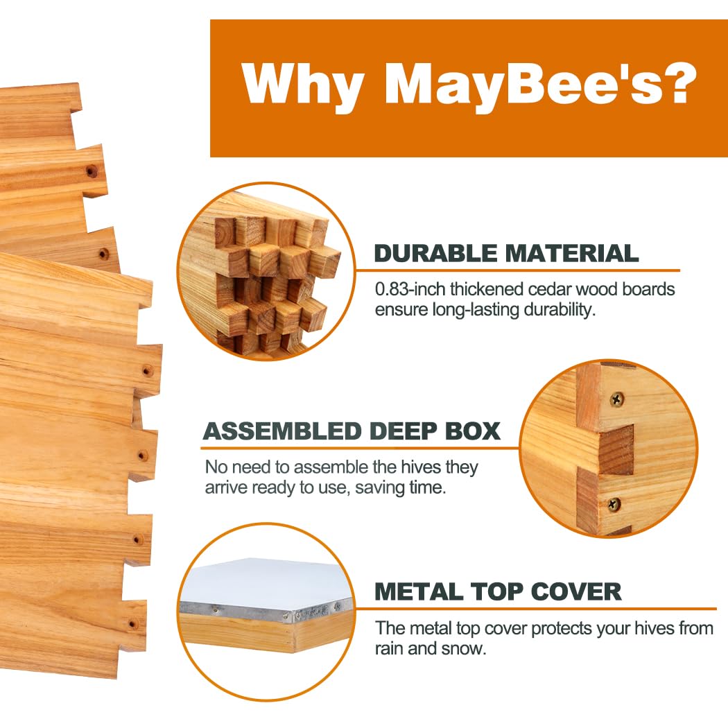 Kit de 8 cuadros para colmena  - Beehive Frame Wax reseña y precio
