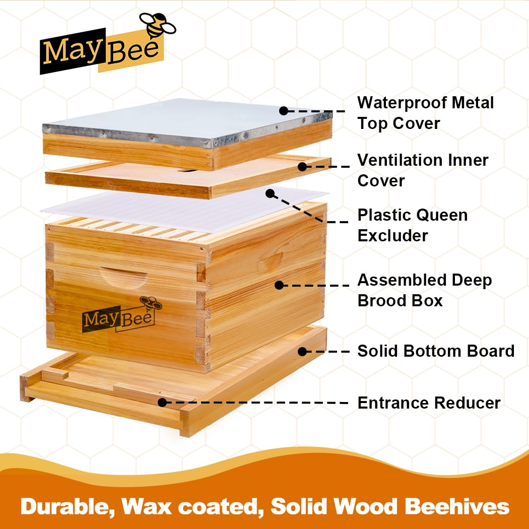 Kit de 8 cuadros para colmena  - Beehive Frame Wax reseña y precio