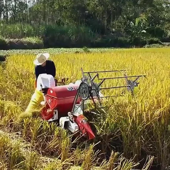 Nueva máquina cosechadora auto - Combine Harvester Mini reseña y precio