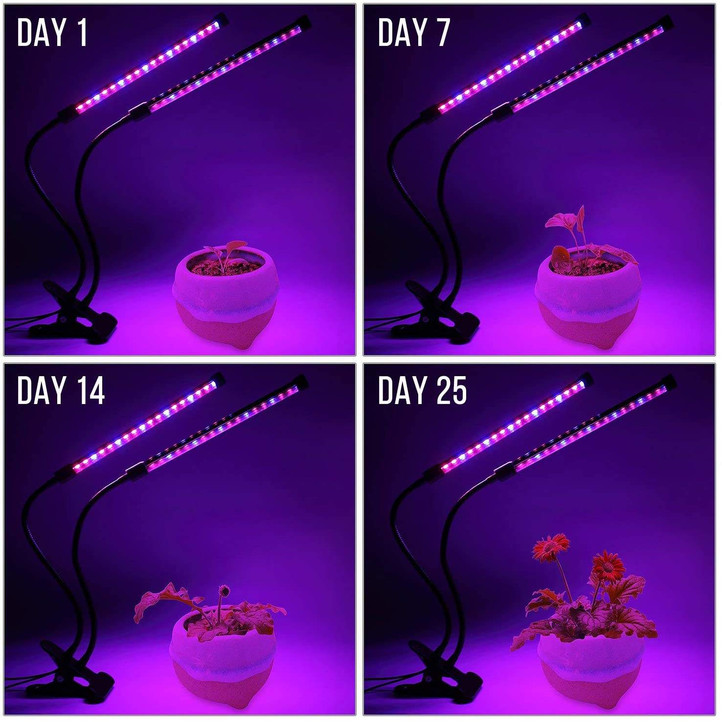 Luz LED USB para cultivo de pl - Plant Growth Regulator reseña y precio