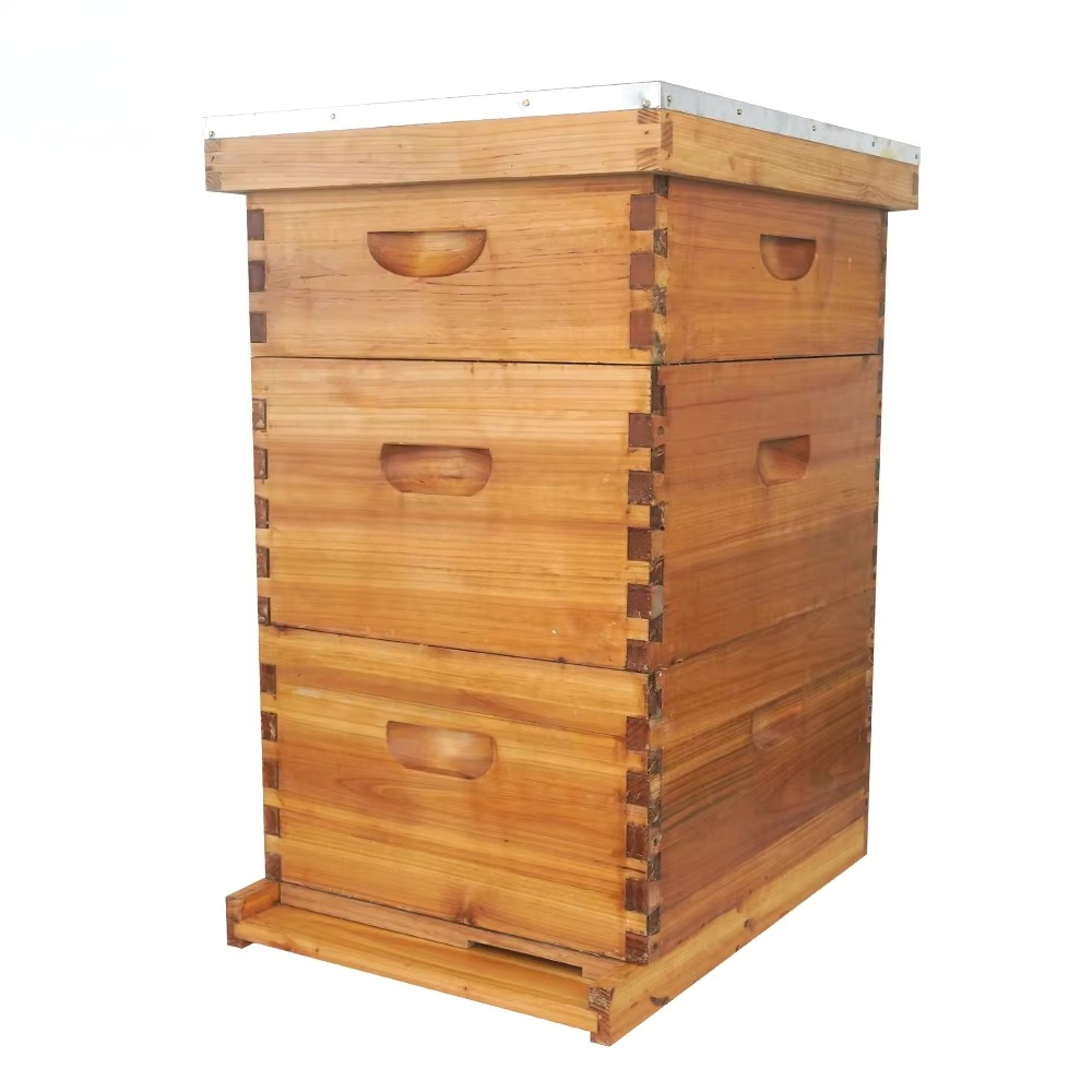 Colmena Langstroth completa de - Beehive Frame Wax reseña y precio