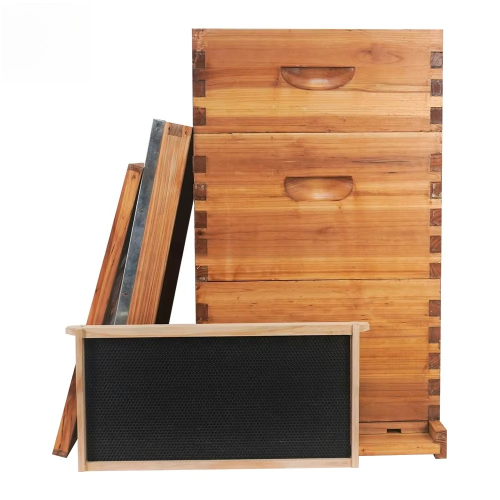 Colmena Langstroth completa de - Beehive Frame Wax reseña y precio