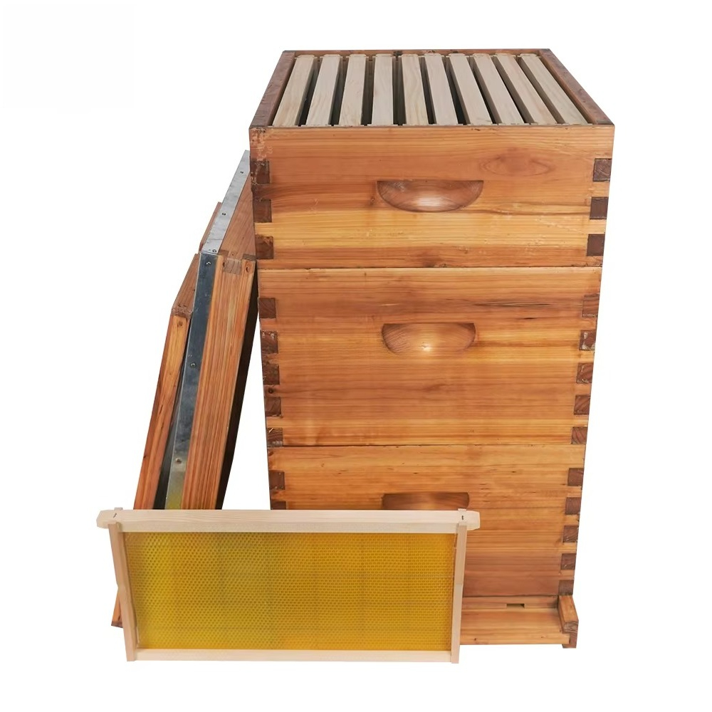 Colmena Langstroth completa de - Beehive Frame Wax reseña y precio
