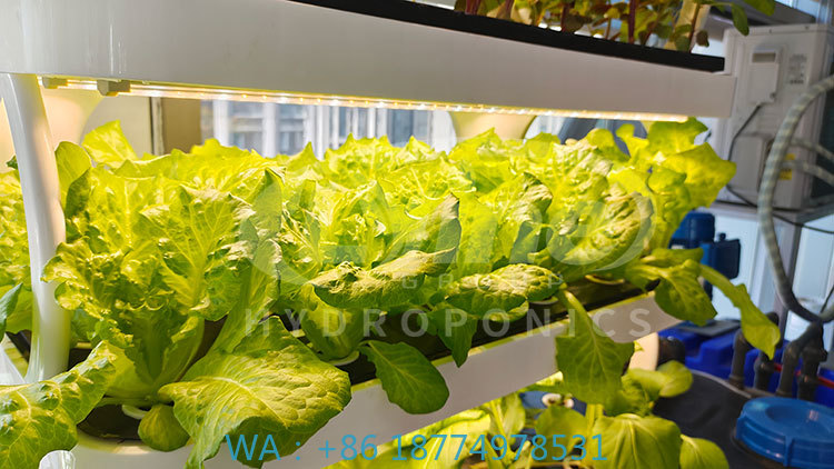 c Máquina agrícola para cultiv - Agriculture Farming System reseña y precio