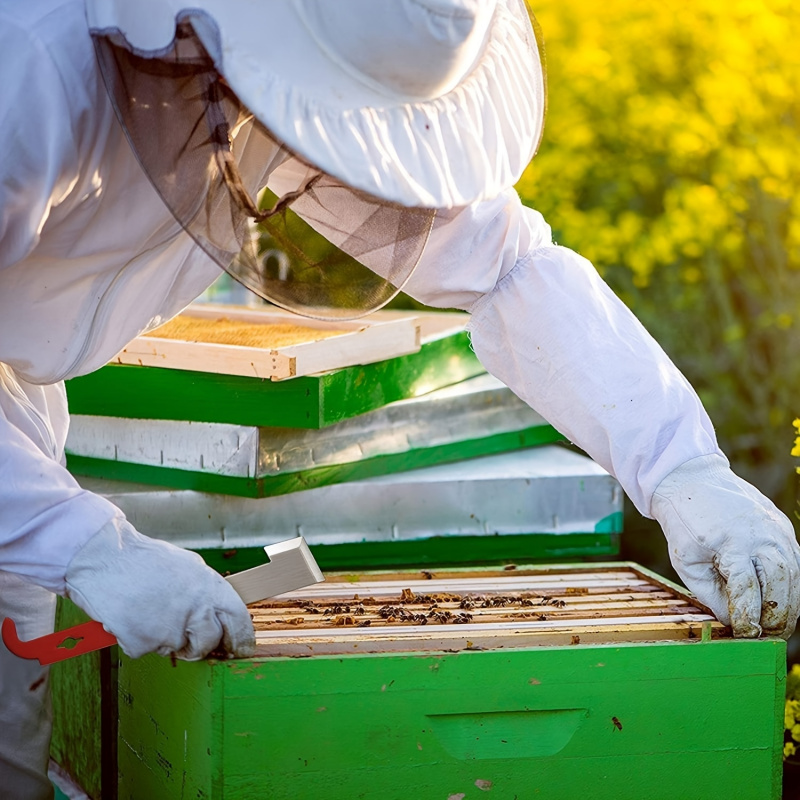Raspador de cuadros de colmena - Beehive Frame Wax reseña y precio