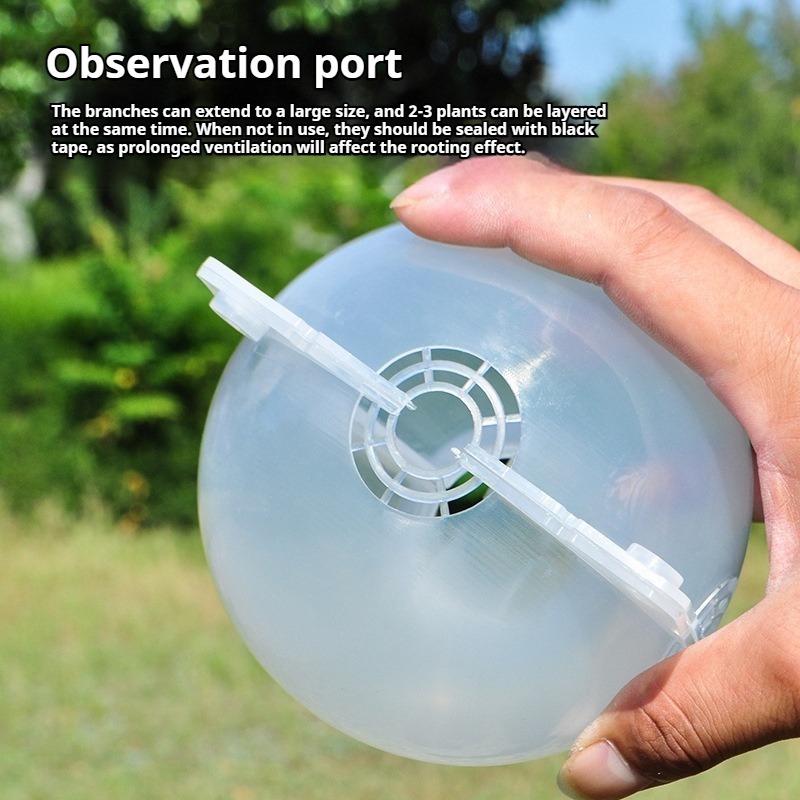 Kit de propagación de plantas  - Plant Growth Regulator reseña y precio