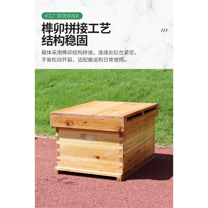 Caja de colmena de madera de a - Beehive Frame Wax reseña y precio