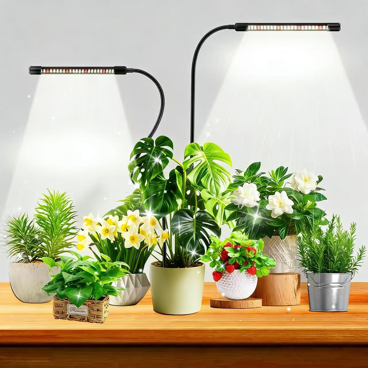 Luces de Cultivo de 48 LED par - Plant Growth Regulator reseña y precio