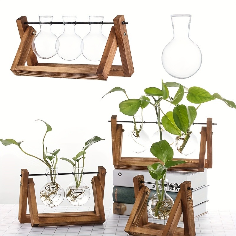 Maceta de vidrio de mesa, esta - Plant Growth Regulator reseña y precio